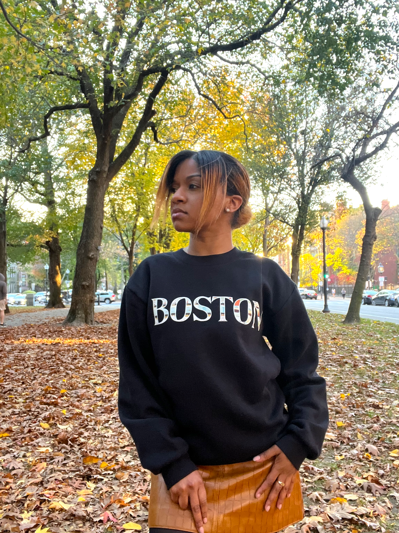 Crewneck Sweater - Boston Series