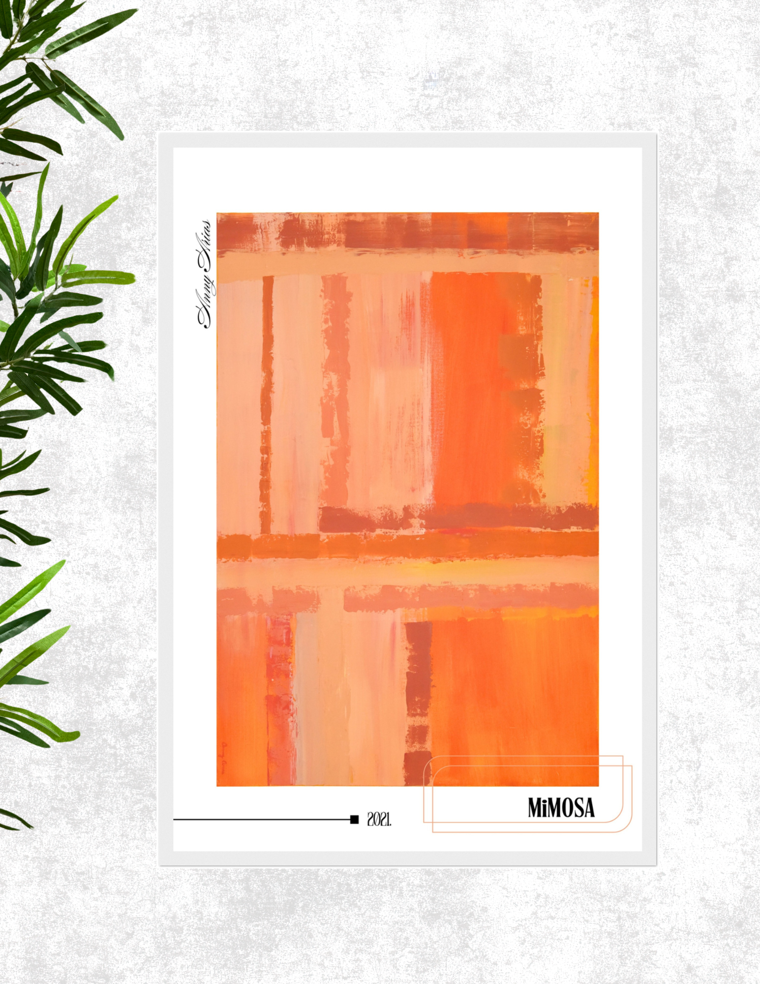 Mimosa