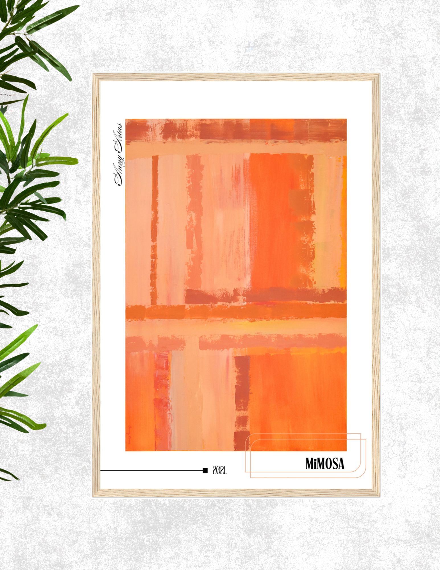 Mimosa